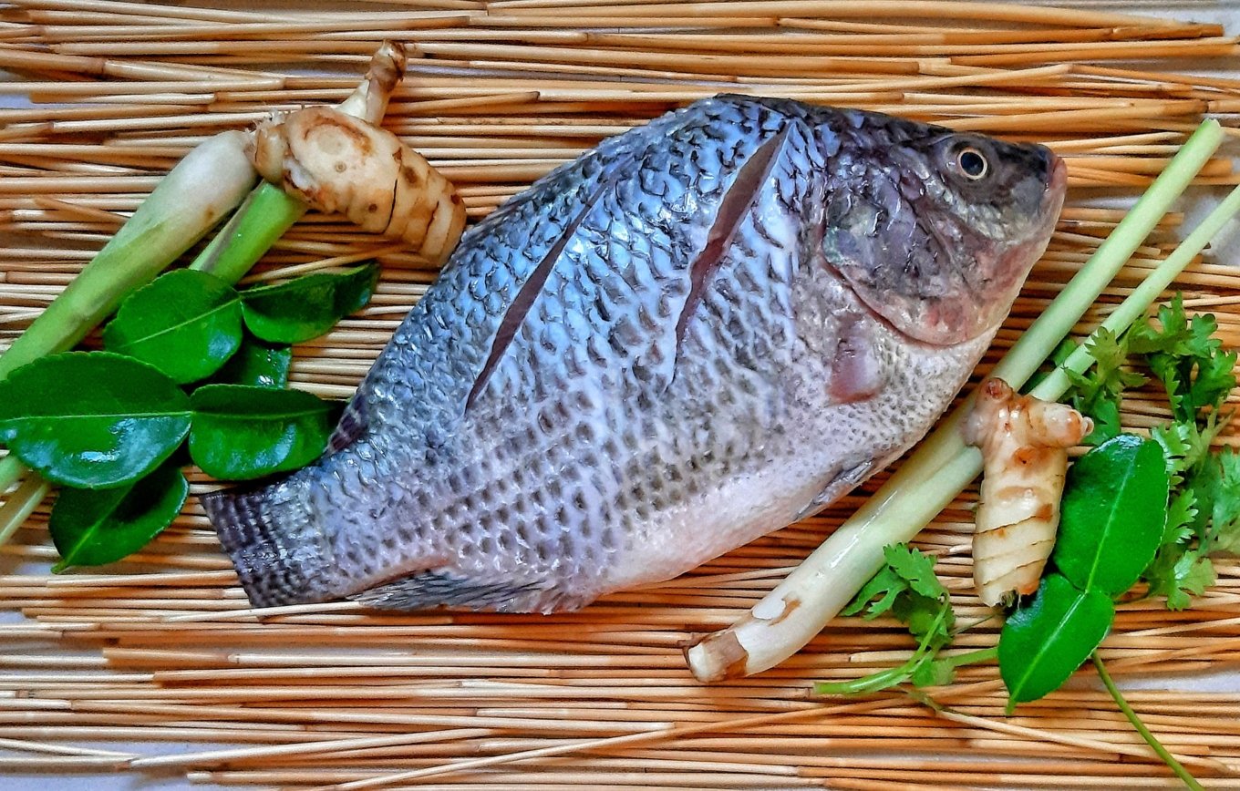 Tilapia Fish Big (1kg) | Fasita Online shopping in rwanda